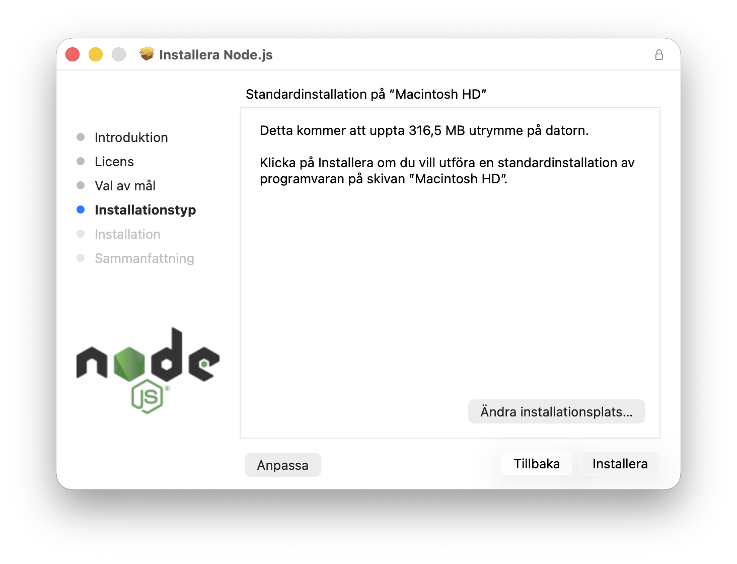Node.js installer type screen