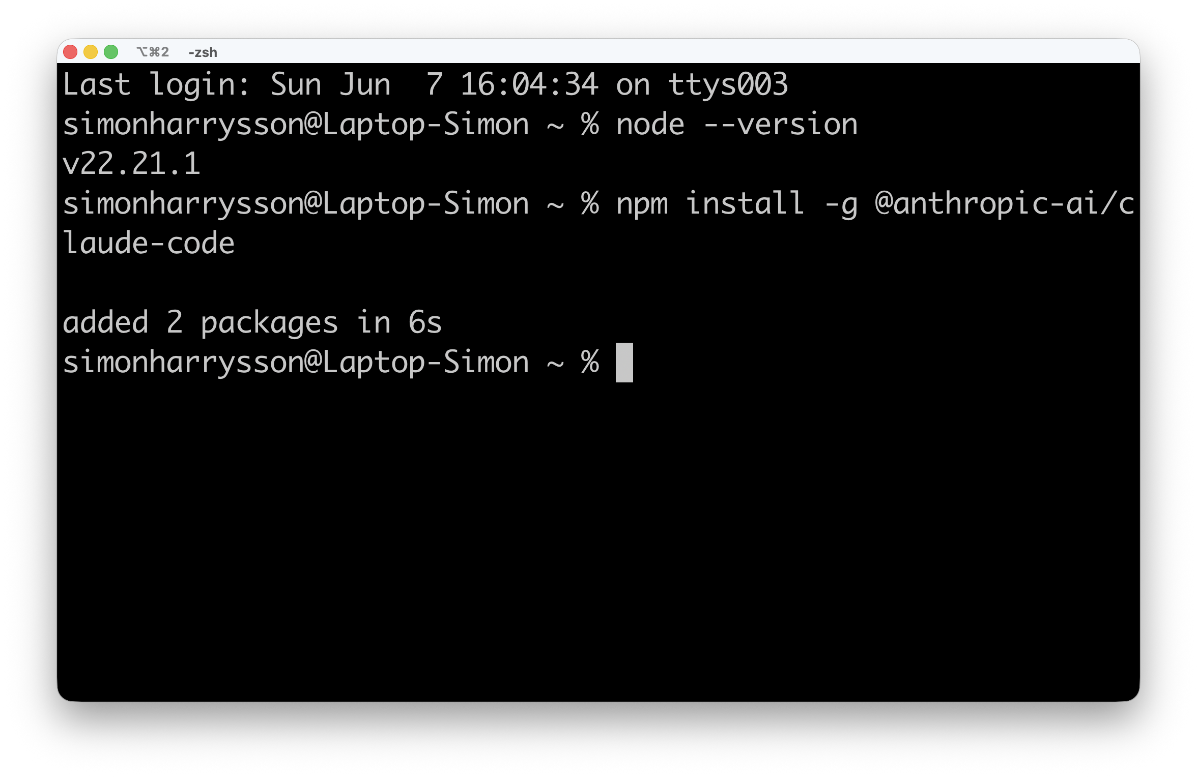 npm install output in terminal
